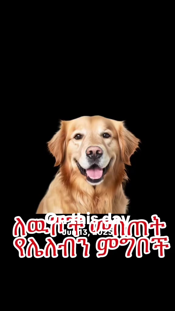 @Hachiko_Vet_Clinic