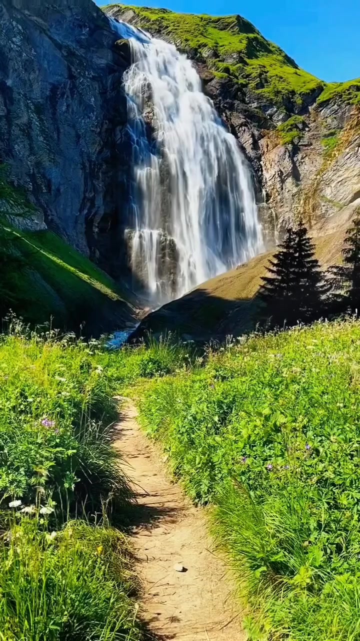 @Lionghoaho