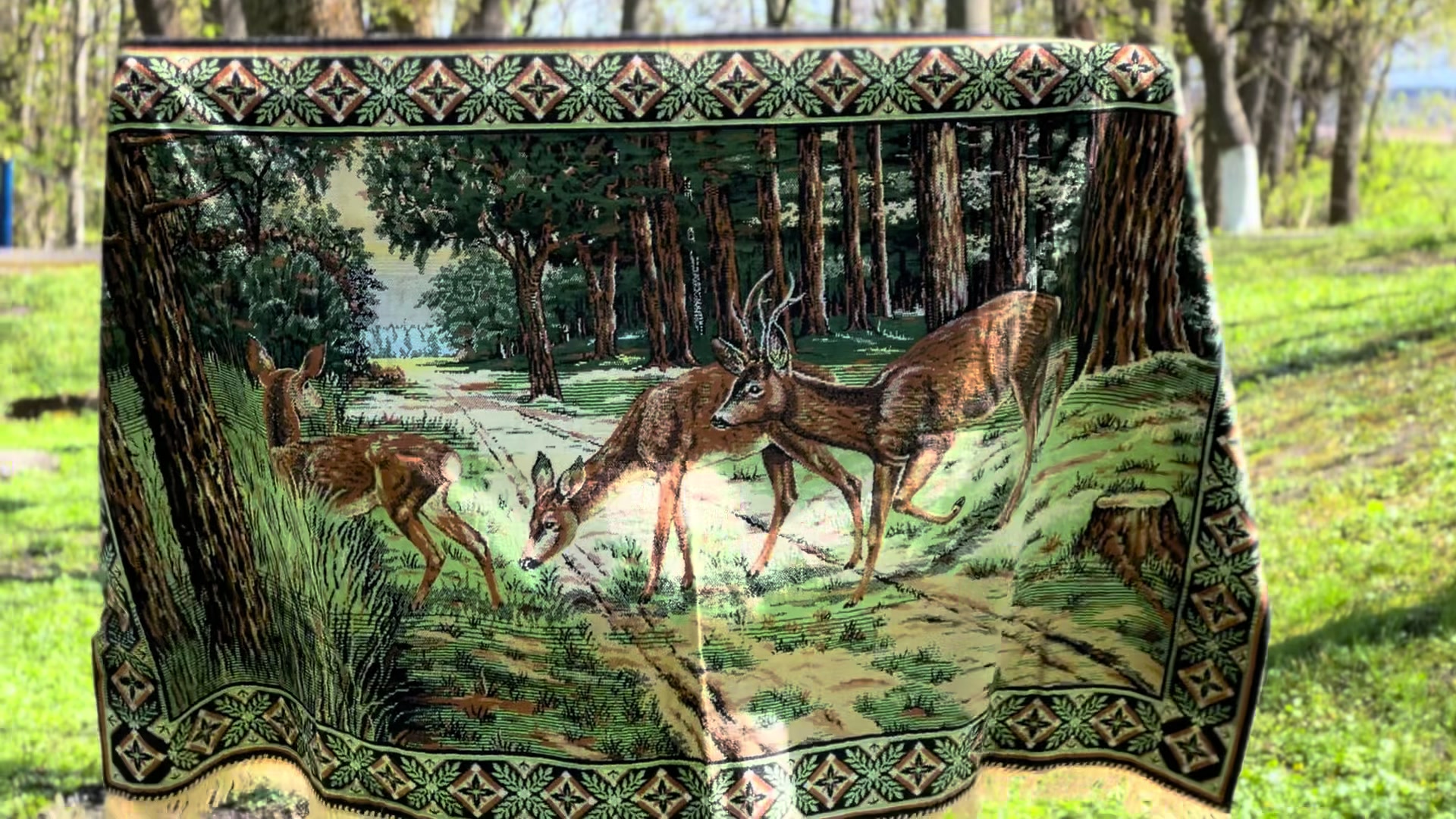 @Погребний Олександр
