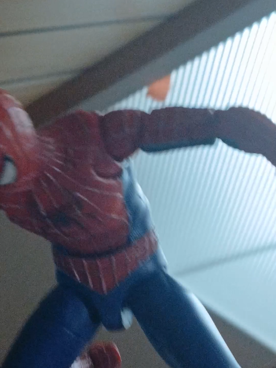 @Spider hog