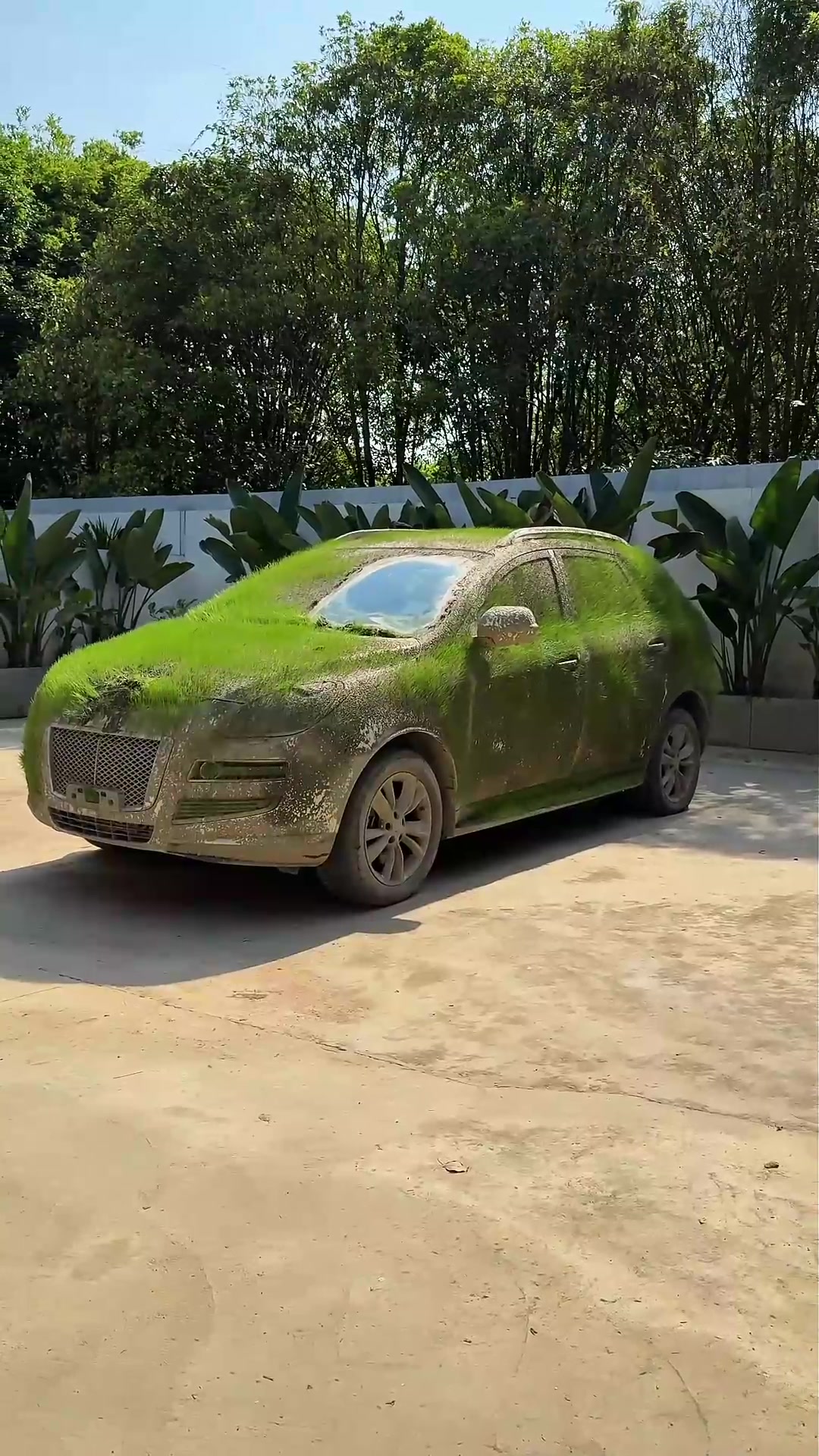 @CarBeaty88