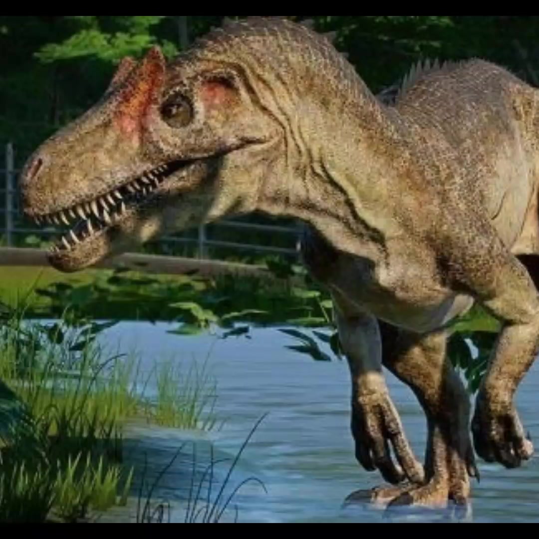 @Acrolog🦎🌱