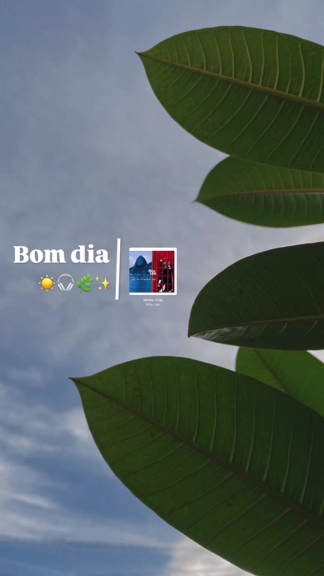 @Deivison Fonseca