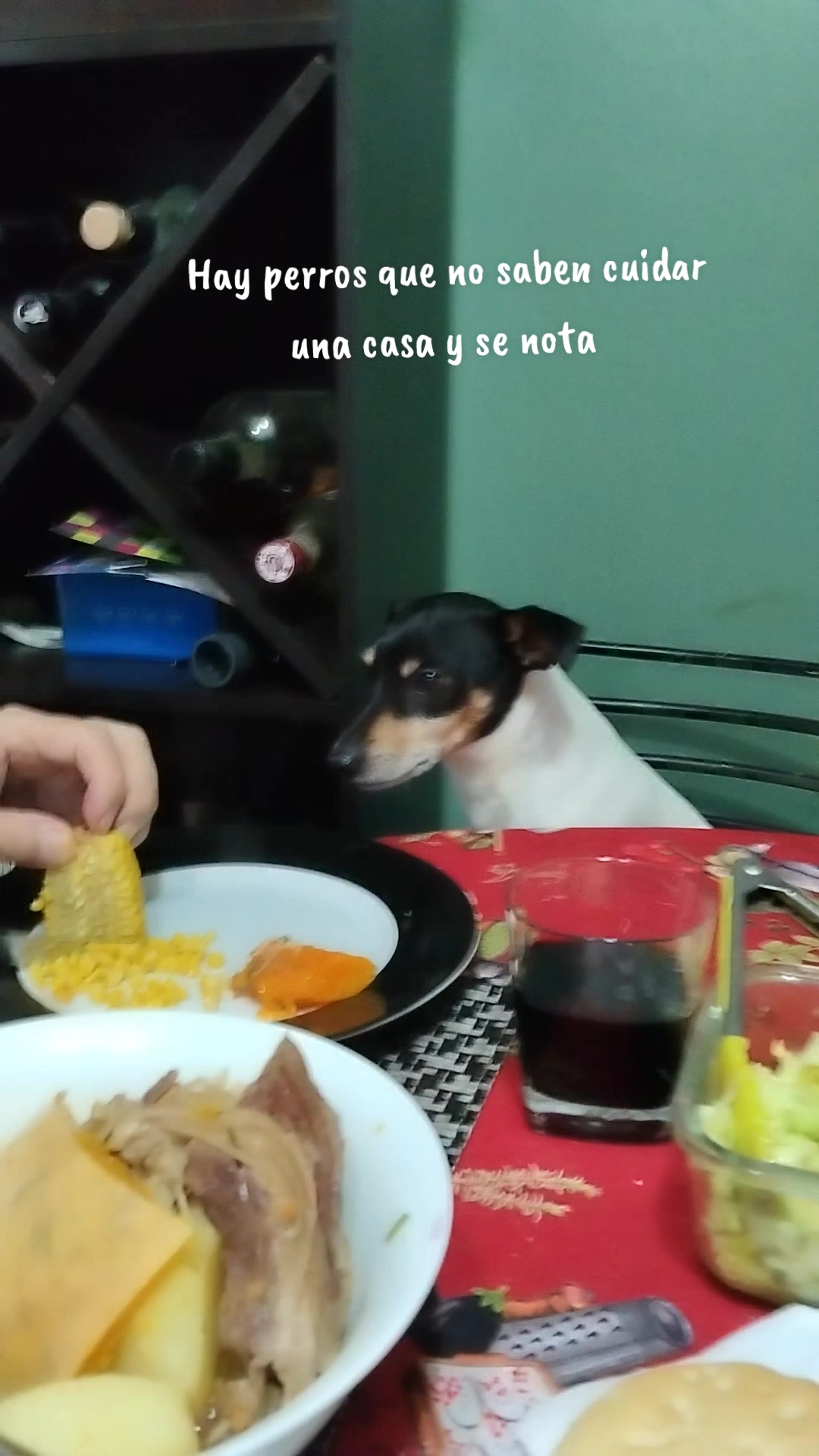 @Mister Ossie
