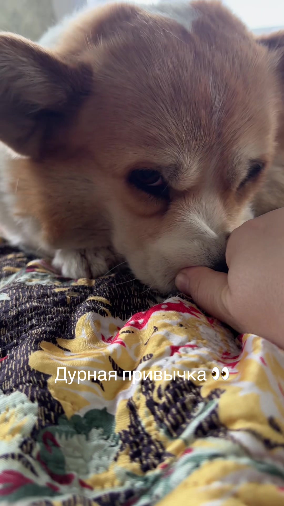 @Pandora&Umka