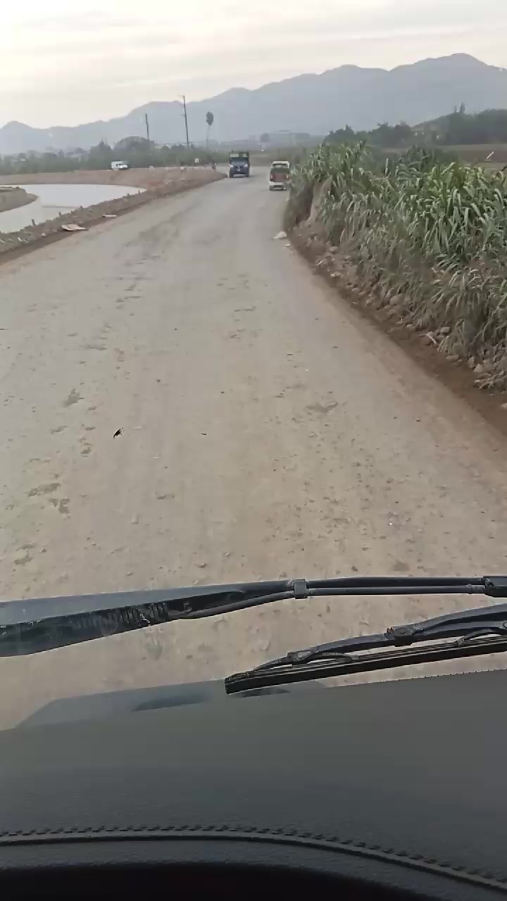 @carlosflores049