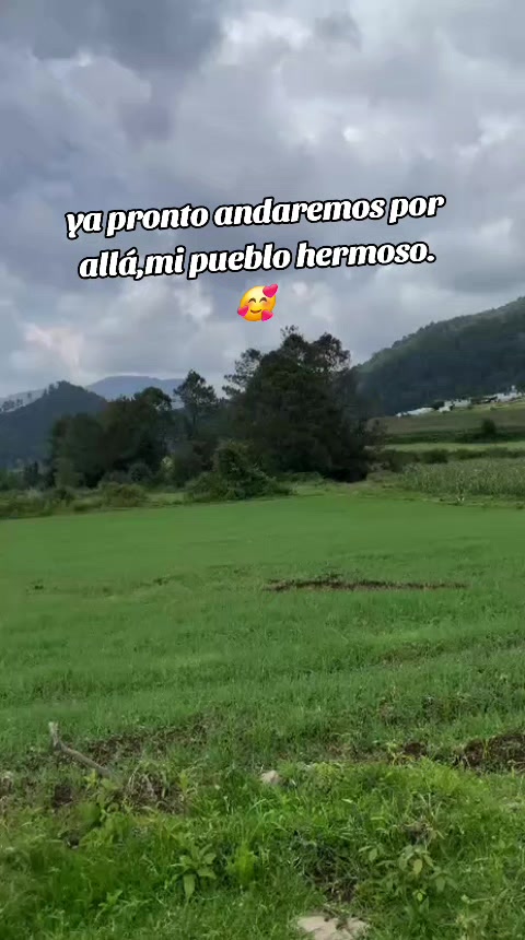 @Patricia Hernand8837
