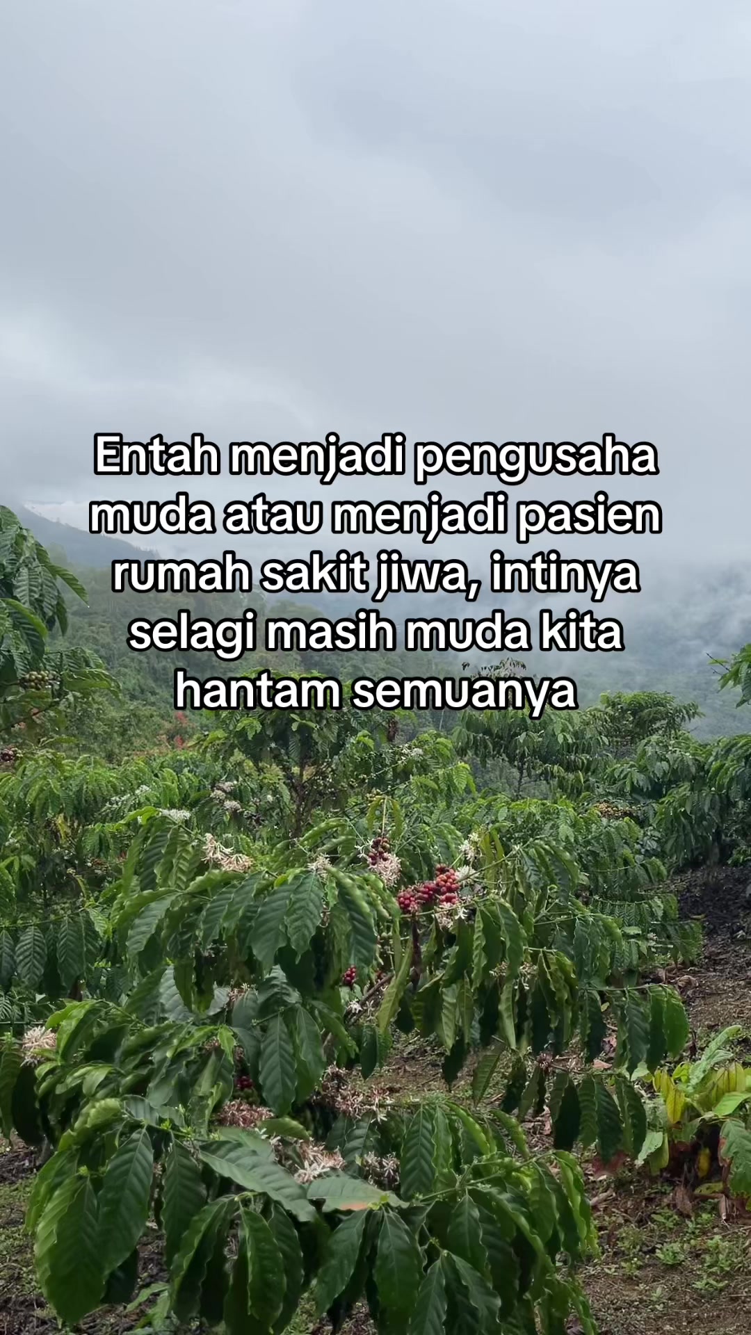 @Prof ☕️ MILENIAL