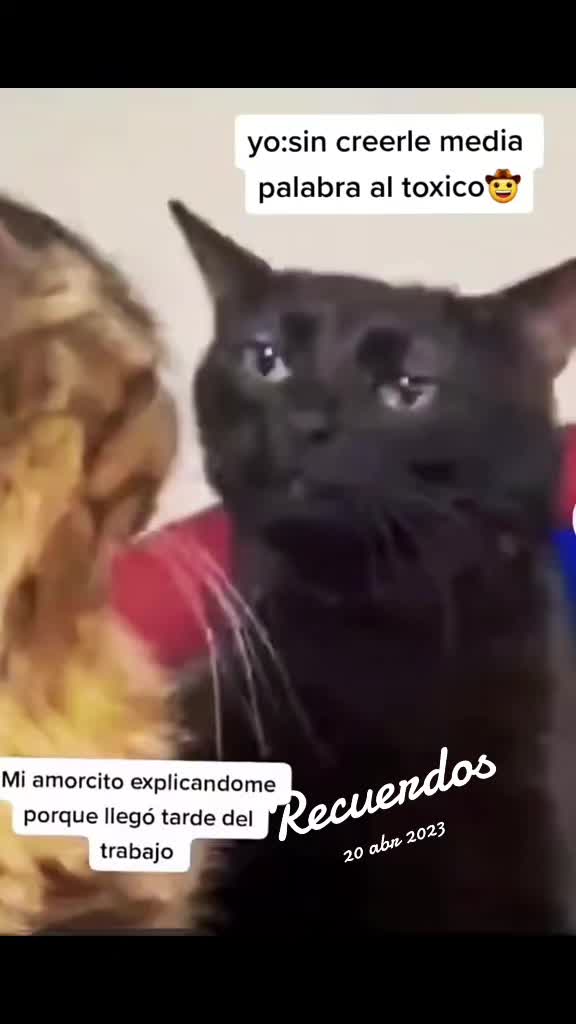 @mayte mendoza