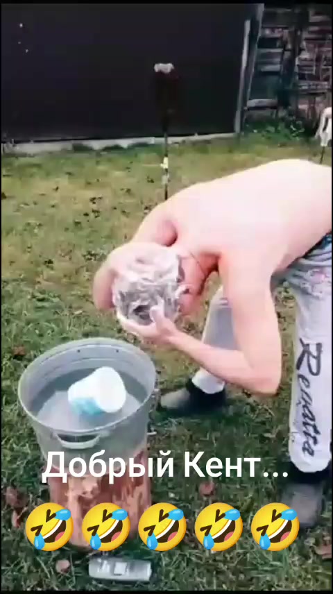 @Дэнчик Кэт