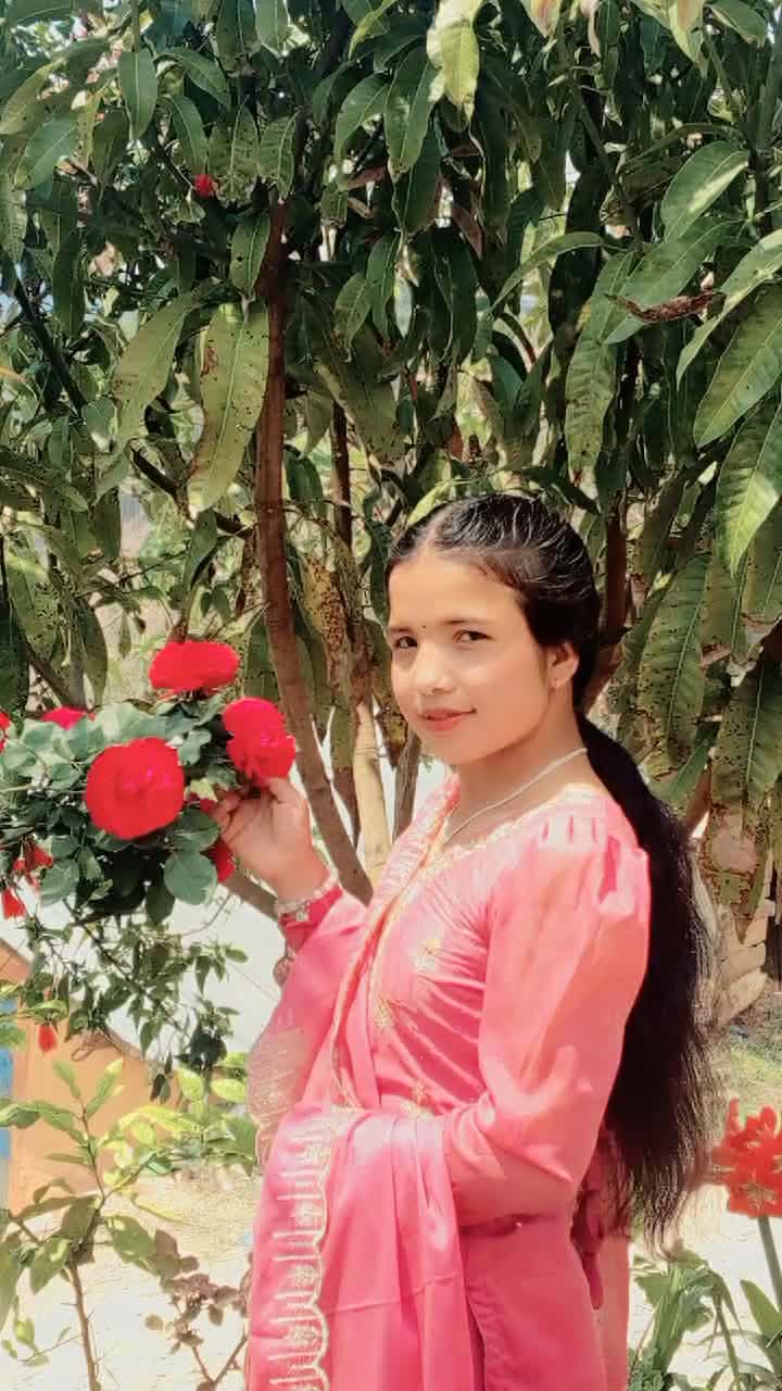 @sunitanewar962