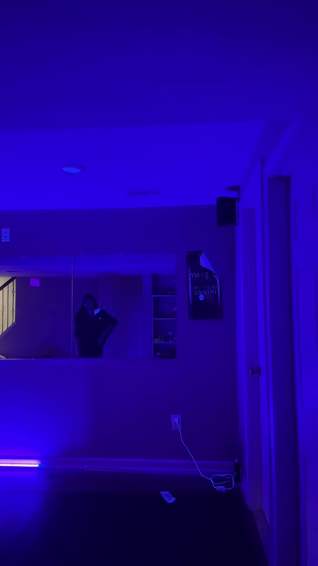 @galaxywolfgirl12345