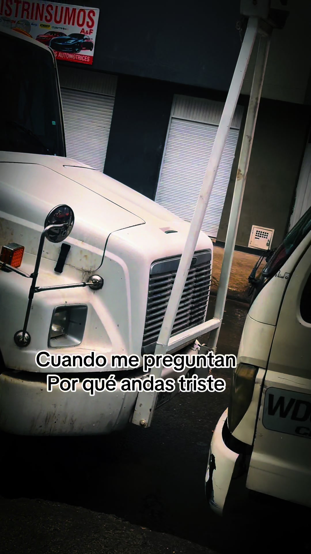@CAMILO M