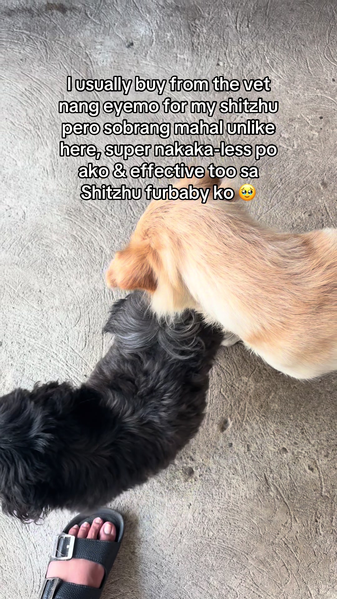 @Chymms
