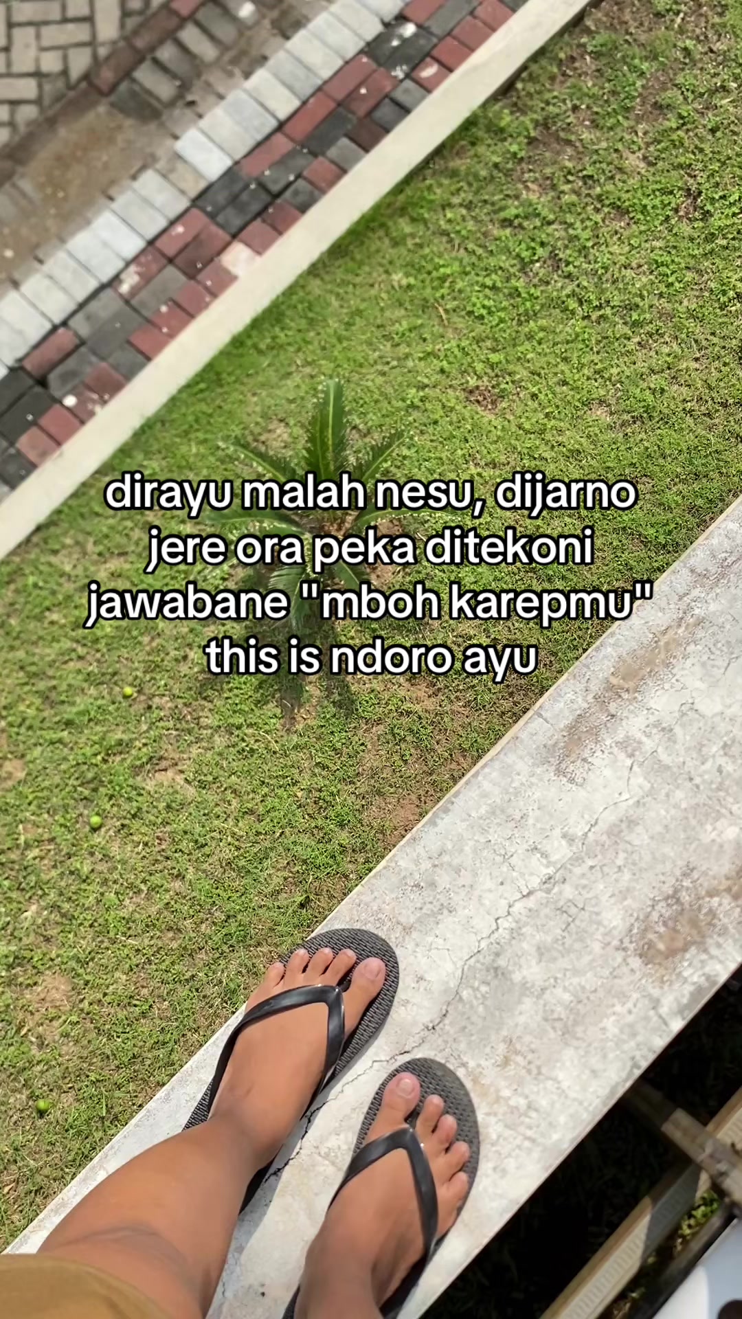 @silviaa