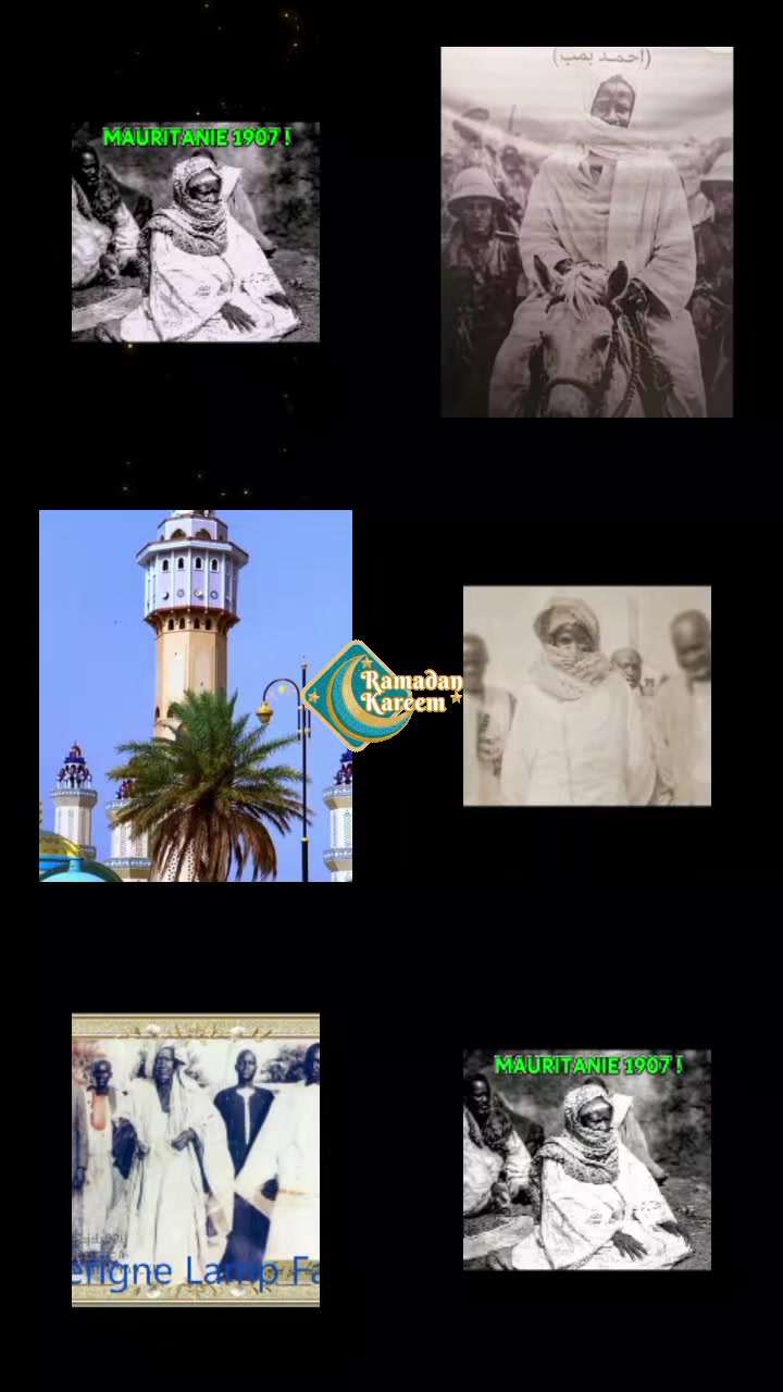 @aladjiba53
