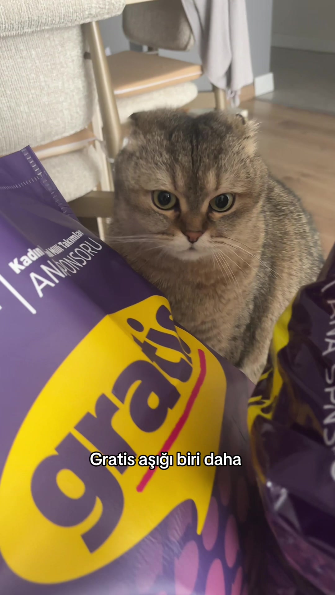 @Seda