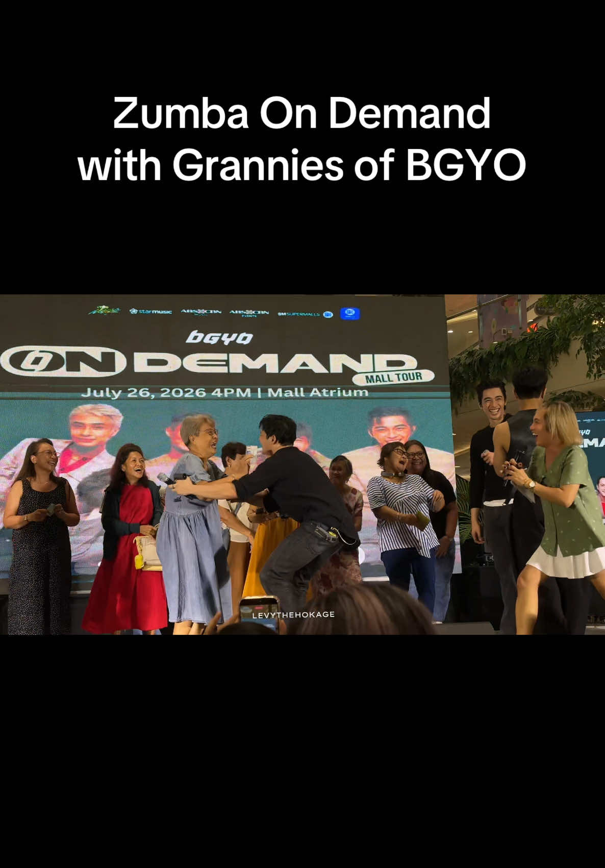 @levythehokage