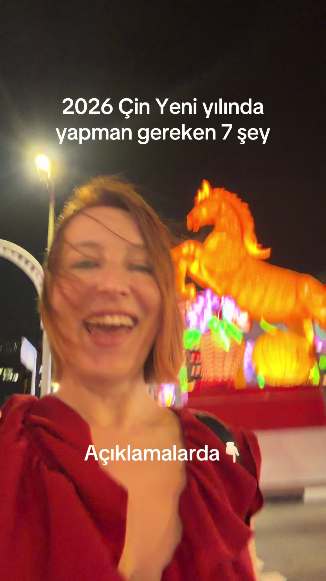 @aysu melis
