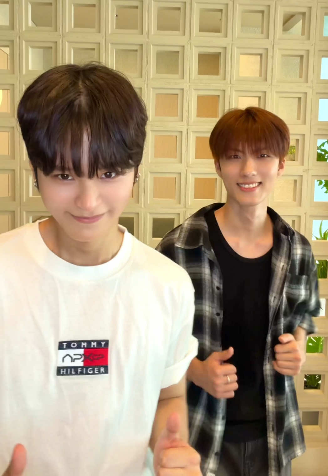 @템페스트(TEMPEST)
