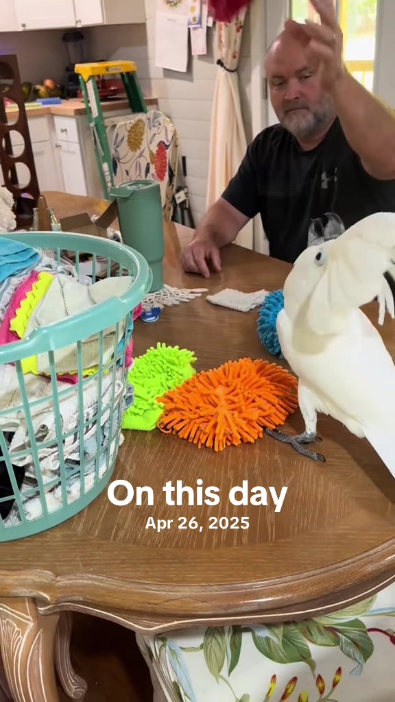 @Buster the cockatoo