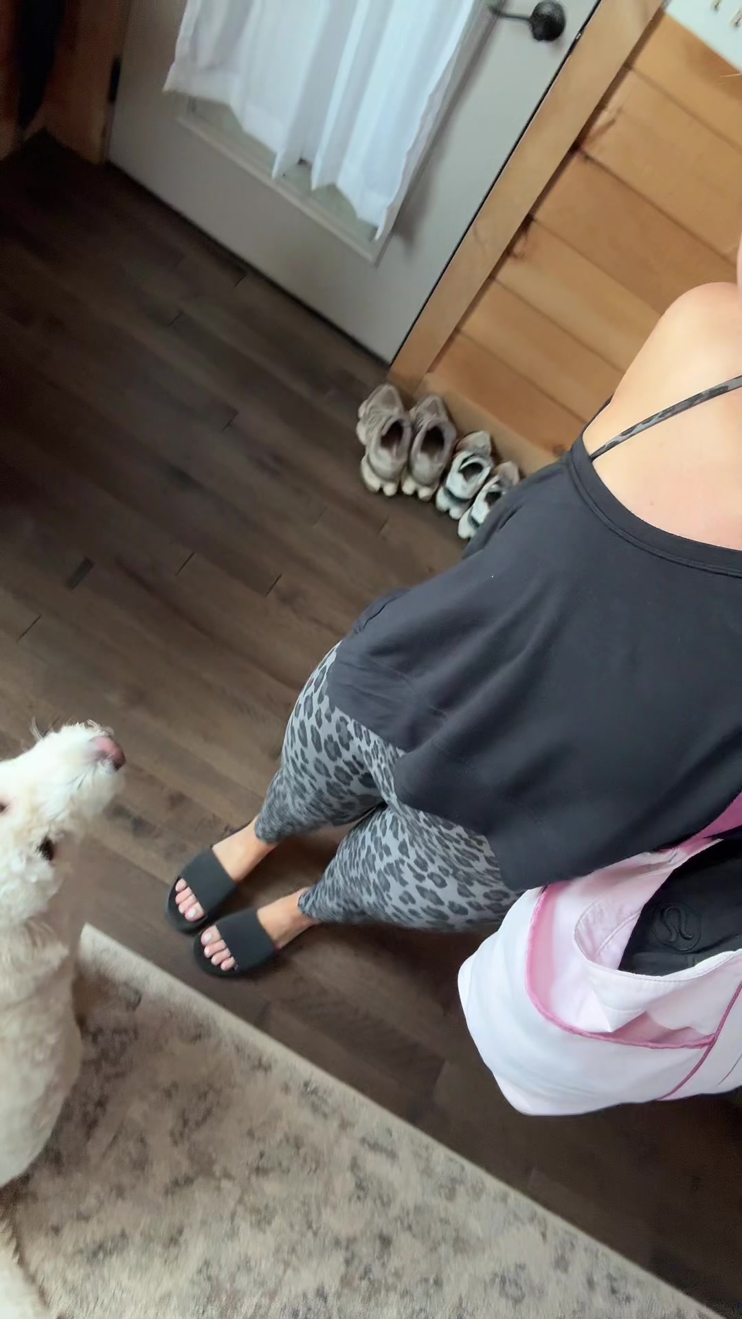 @aalexnicoleee