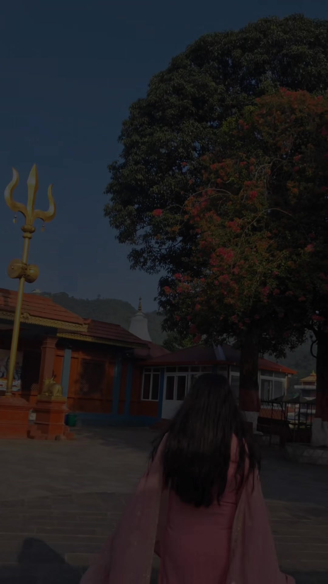@Nisha Yadav🦋