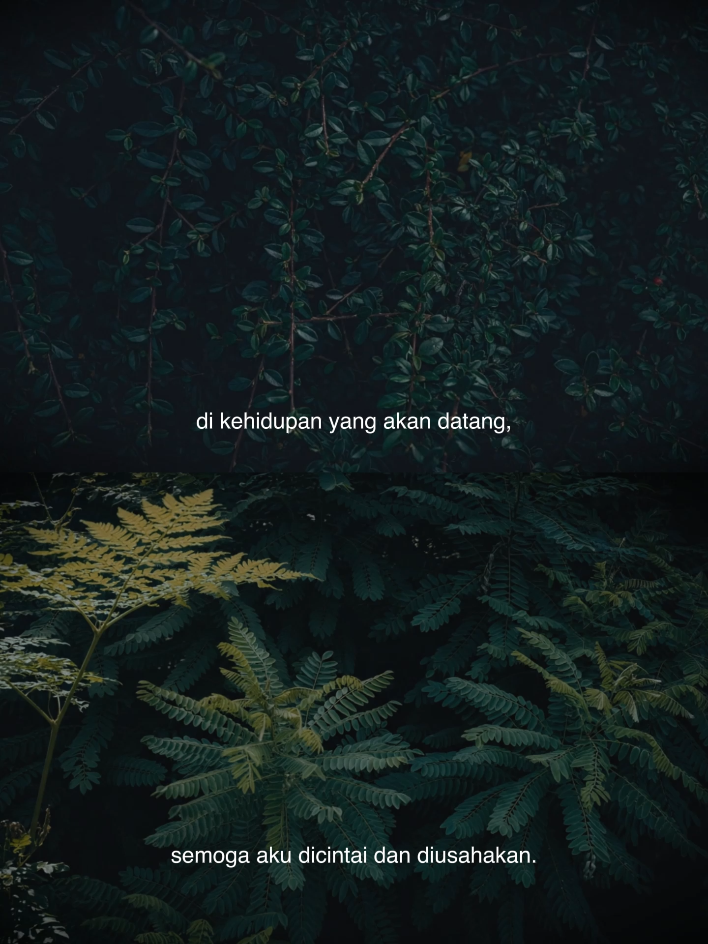 @Yang Terdalam