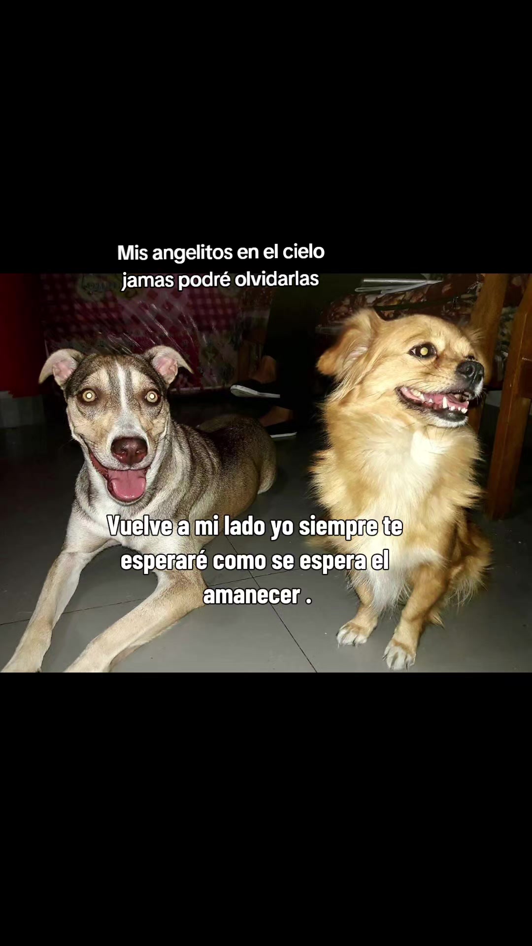 @Huellitasdeamorjaen