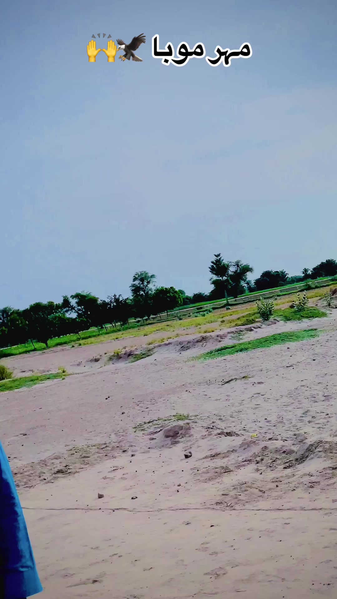 @Mahar Moba 47