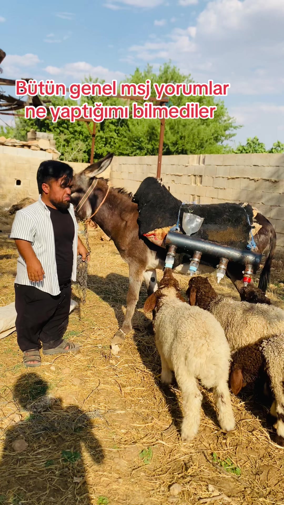 @SEDAT Uçâk|صدام العلي