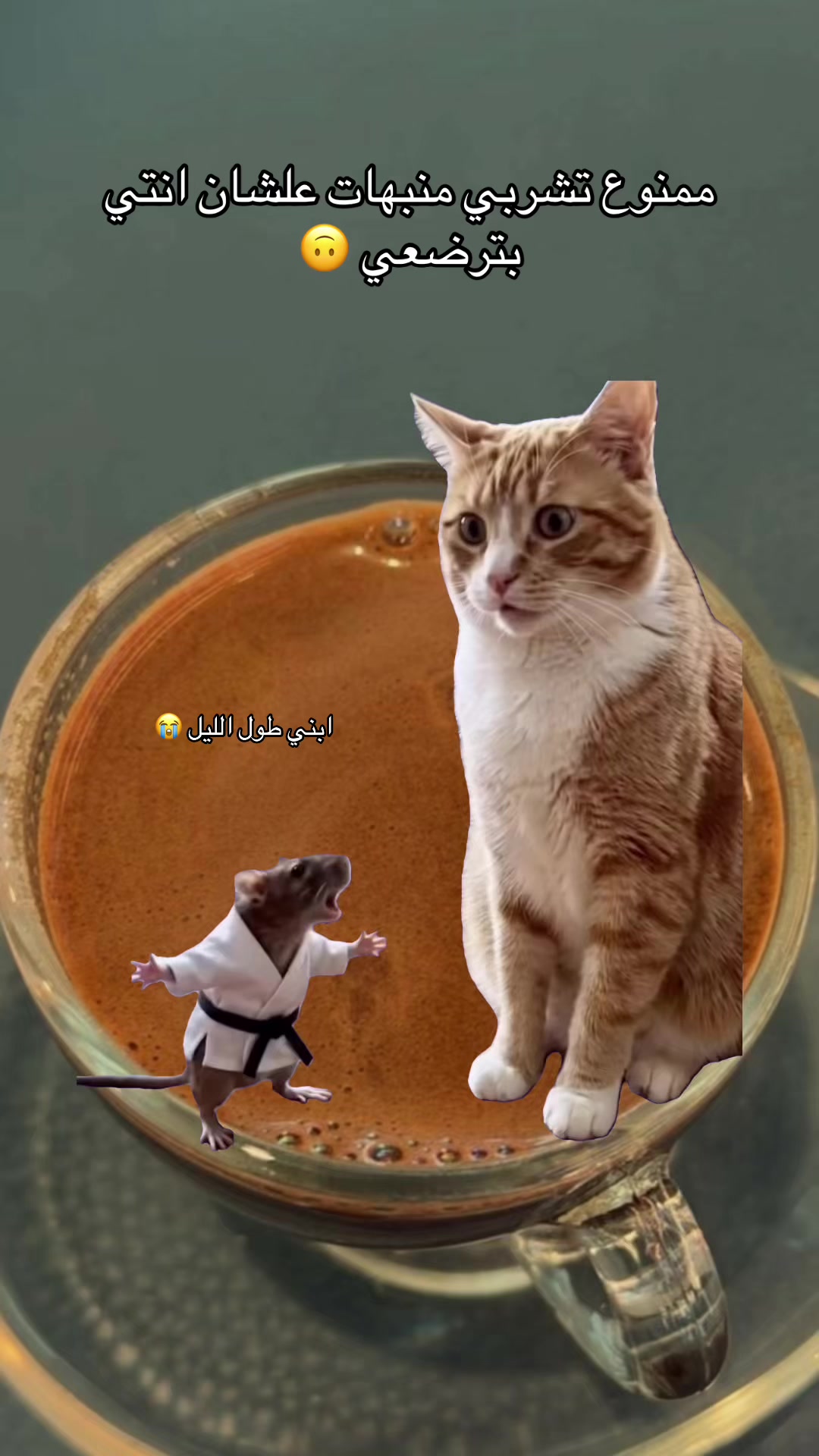 @ندي الغزالي 🦌🫀