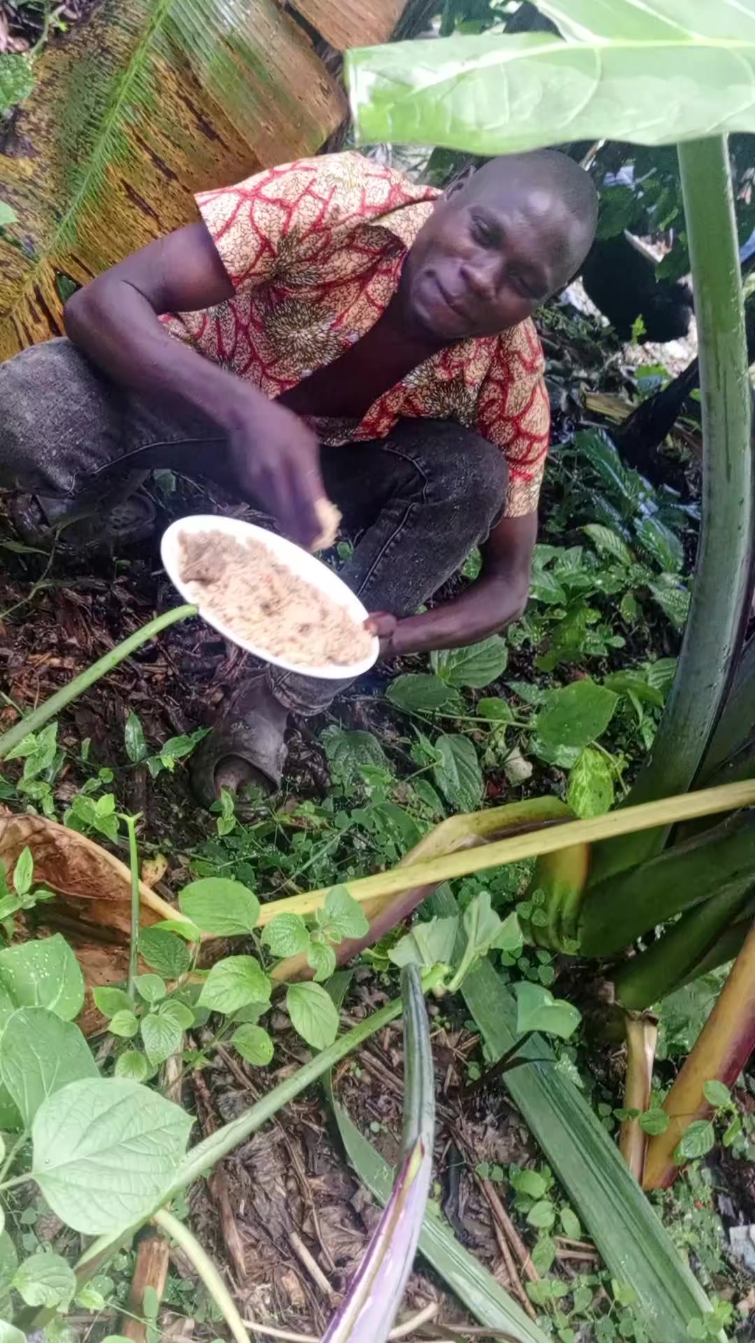 @Sadais256