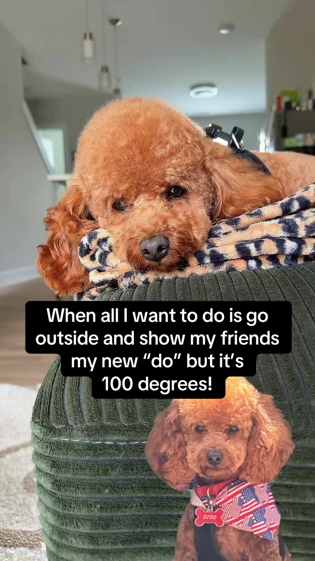 @RootedandReal