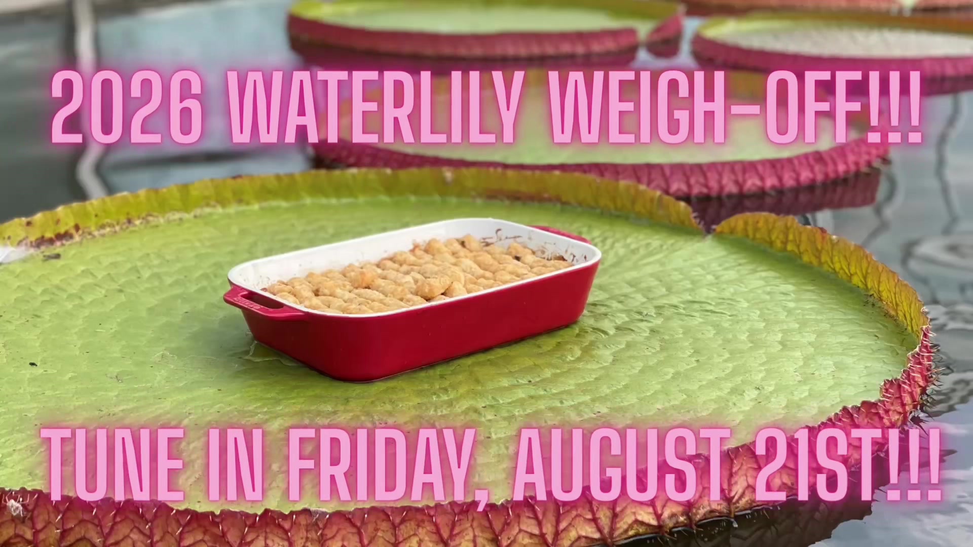 @Como Park Zoo & Conservatory