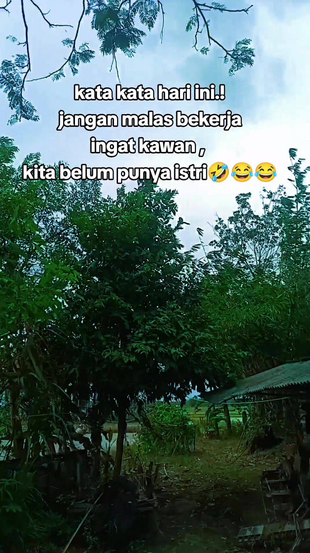 @📸Damar_Wulan🪡