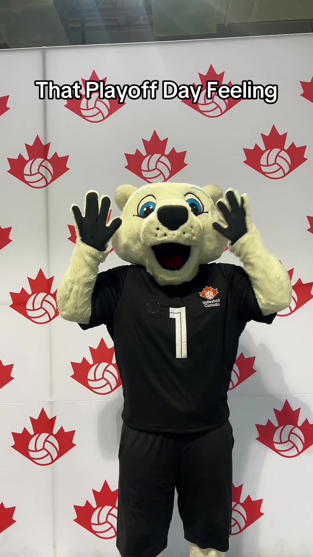 @Volleyball Canada