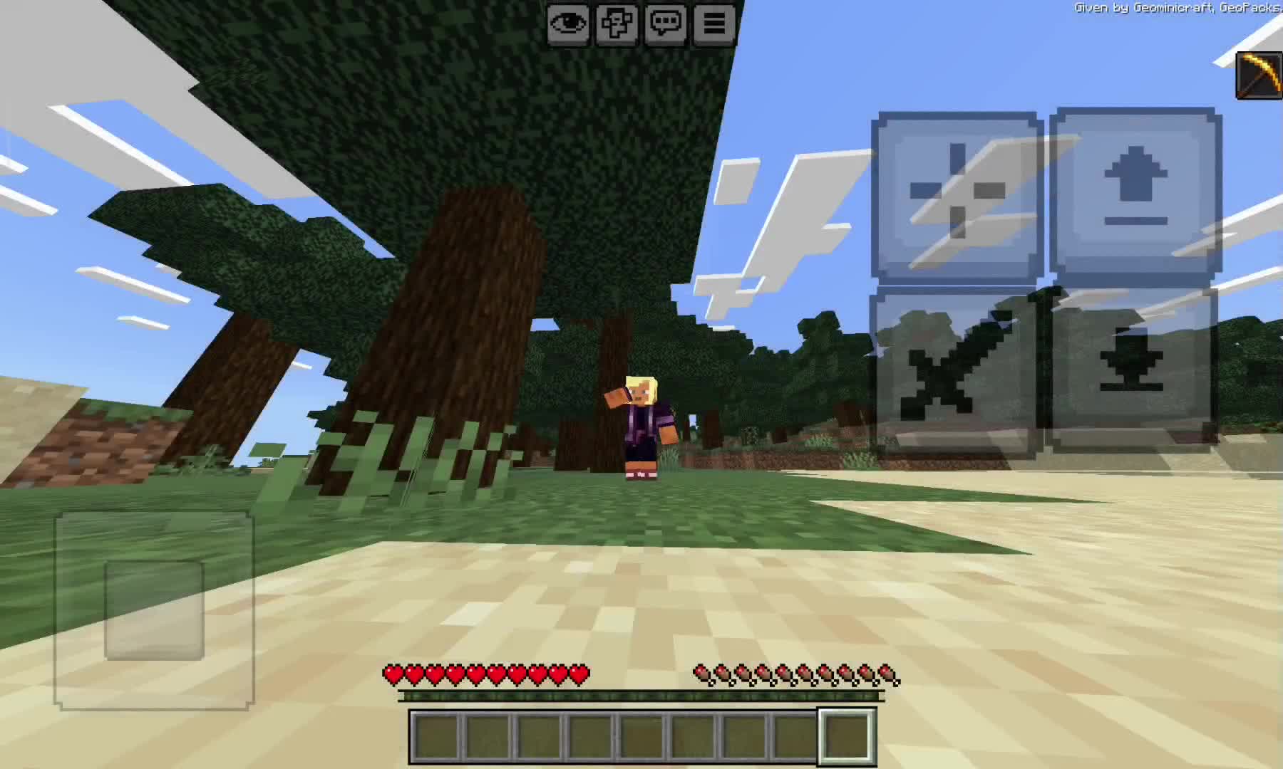 @geominicraft