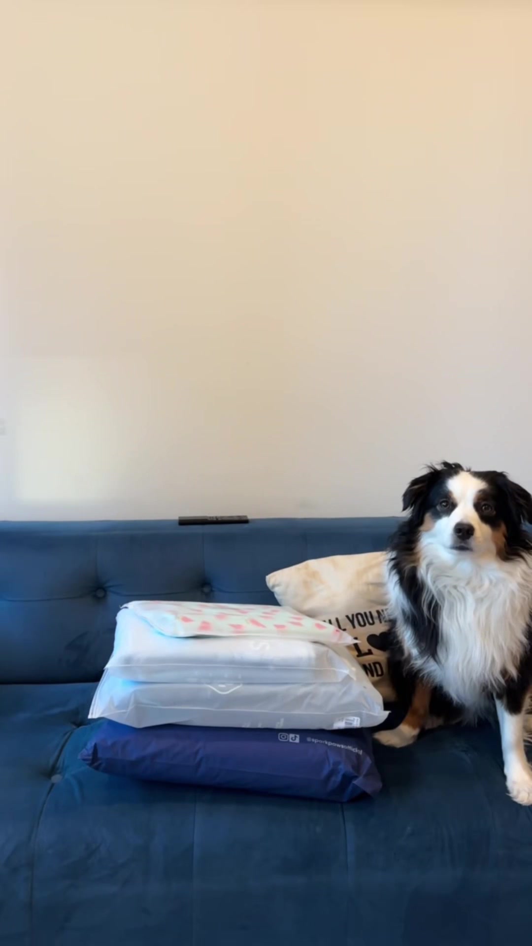 @Bonita.The.Mini.Aussie