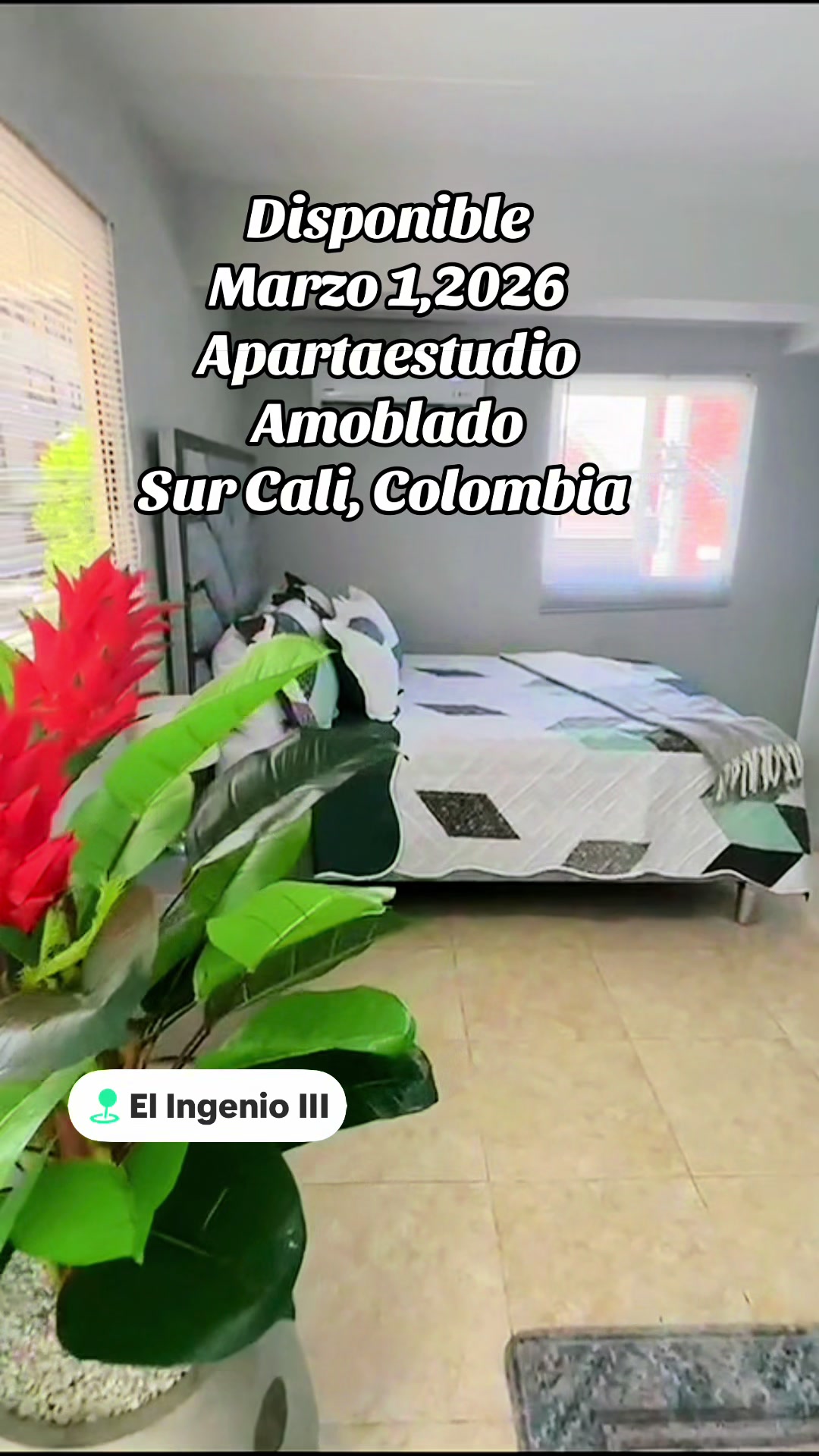 @Edificio Pinares del Ingenio