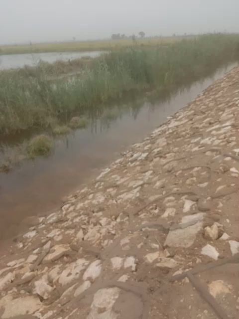 @ياسين محمد حسني ✌🔥