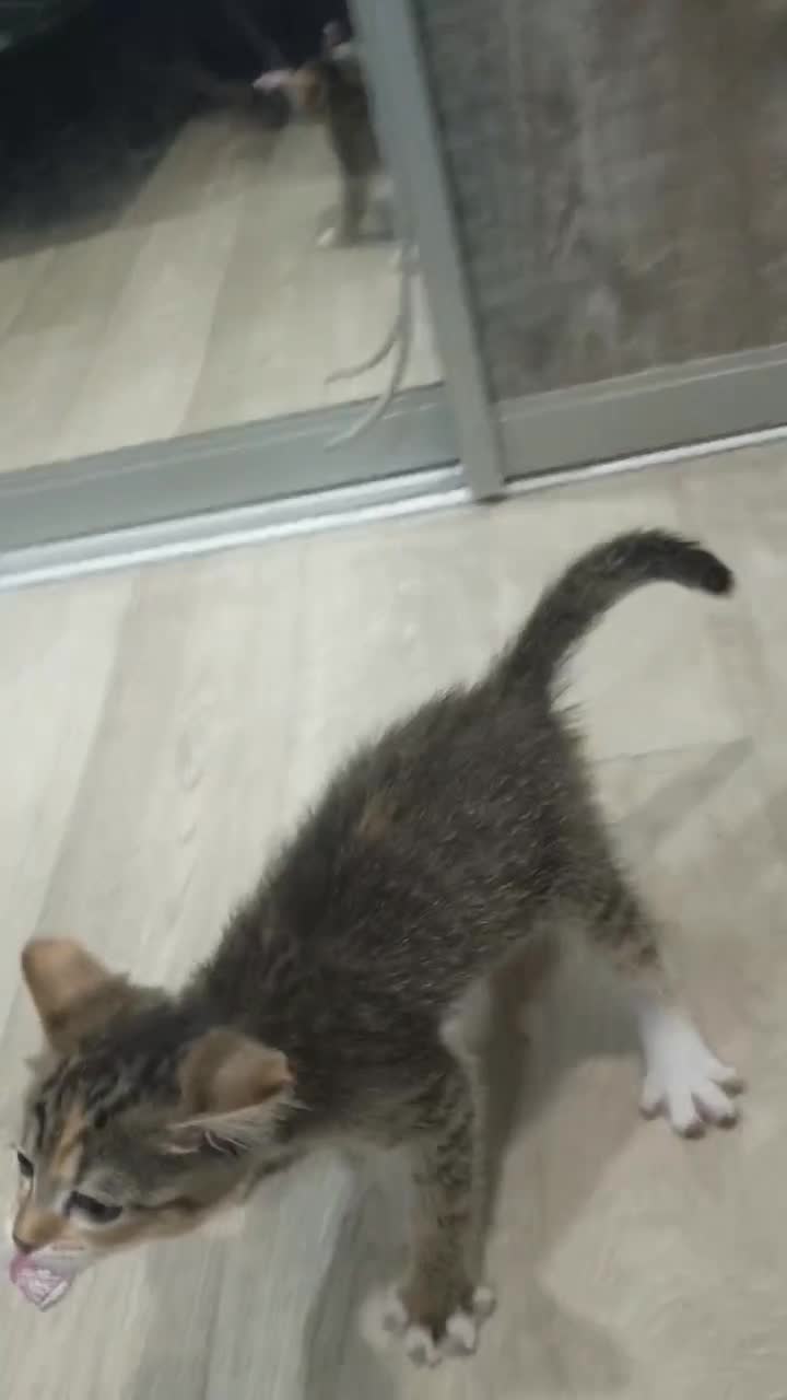 @мета