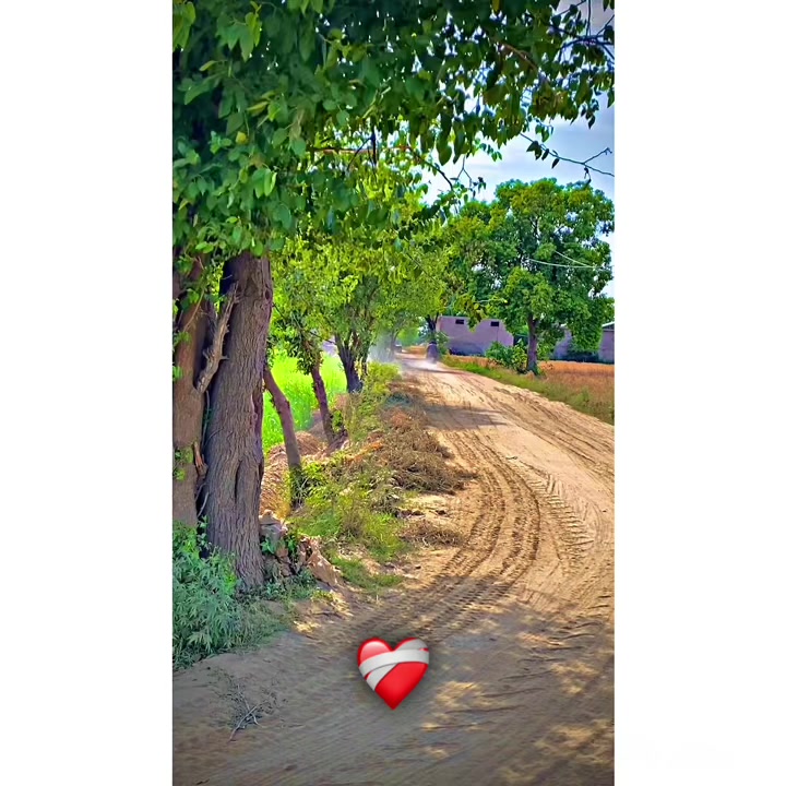@⚜️عماد۔!۔واھلہ⚜️
