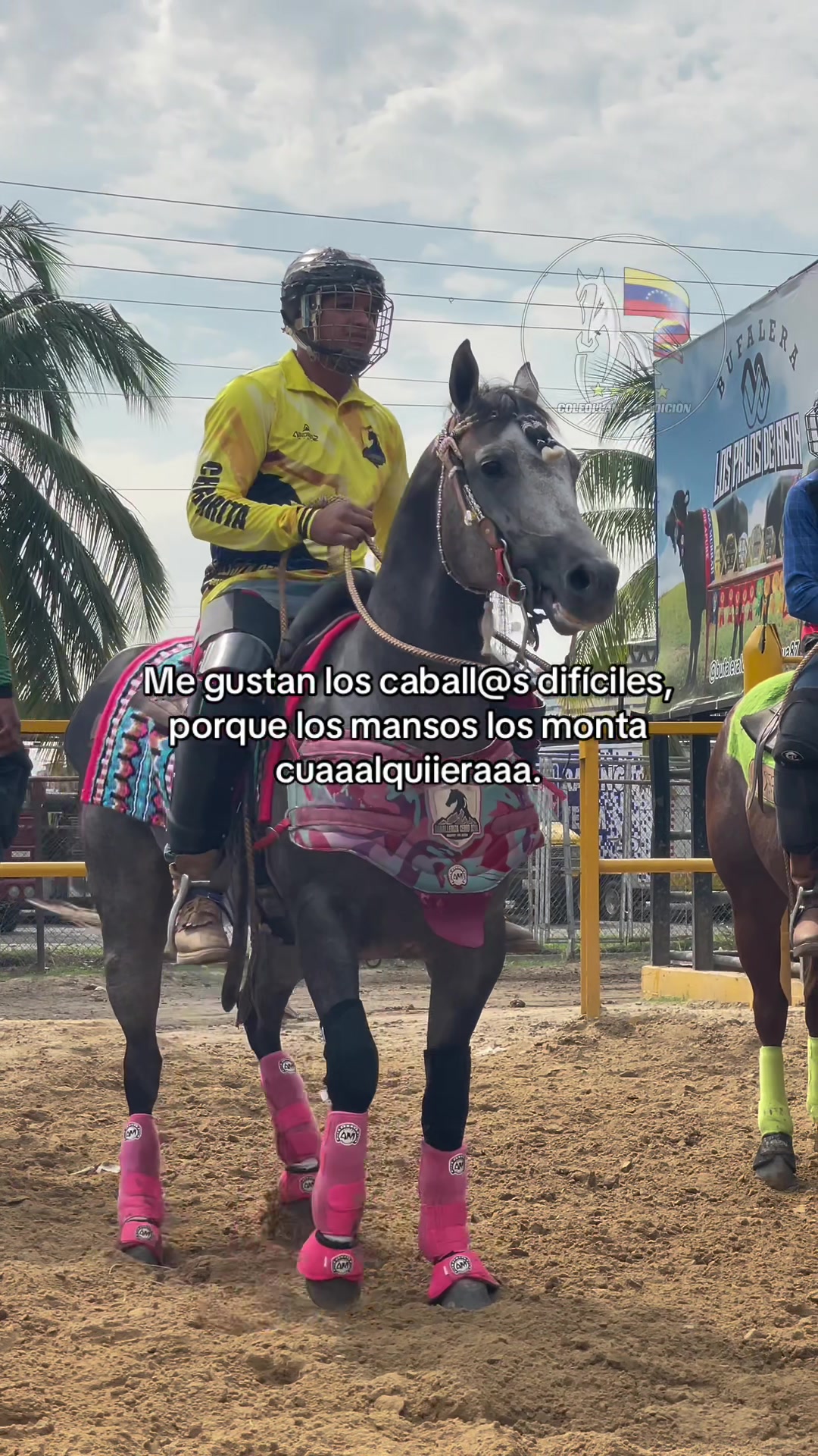 @@Coleollano_tradicion