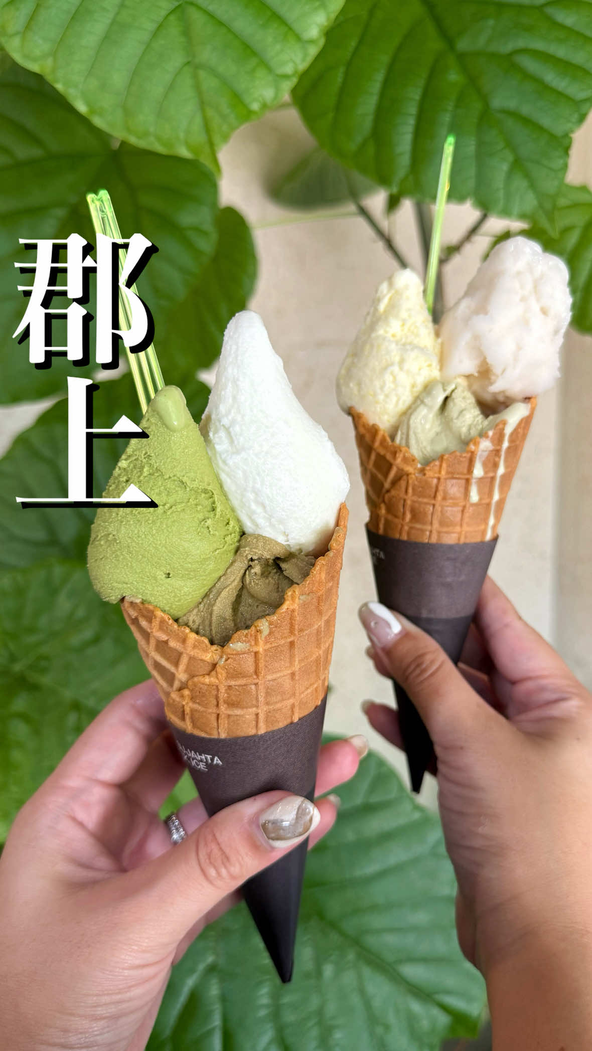 @岐阜グルメ