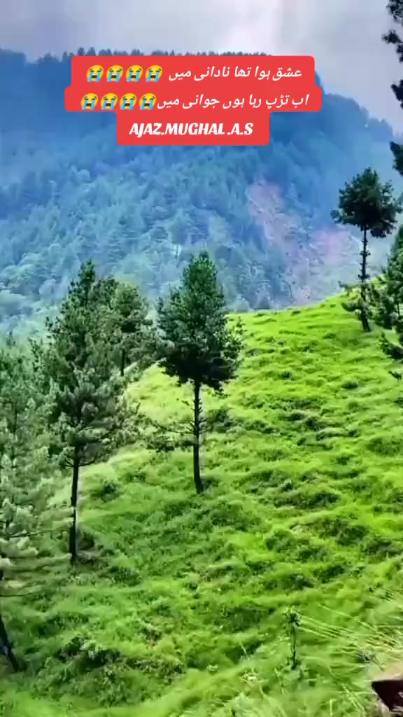 @Ajaz Mughal Ajaz Mughal