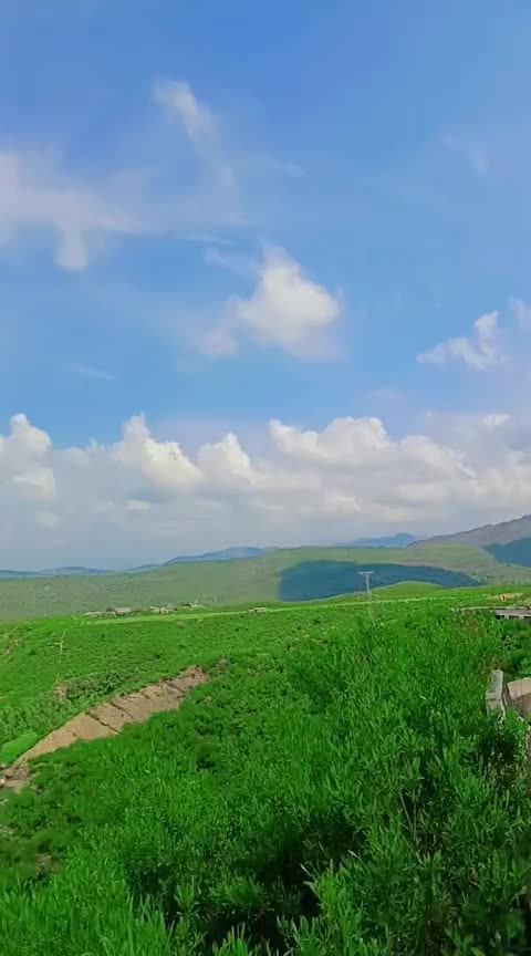 @Raja M Shoaib Asghar
