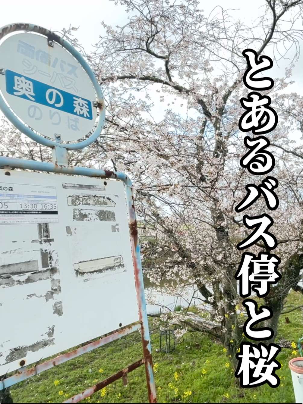 @ãã¡(CHOKEH)ðªðµ