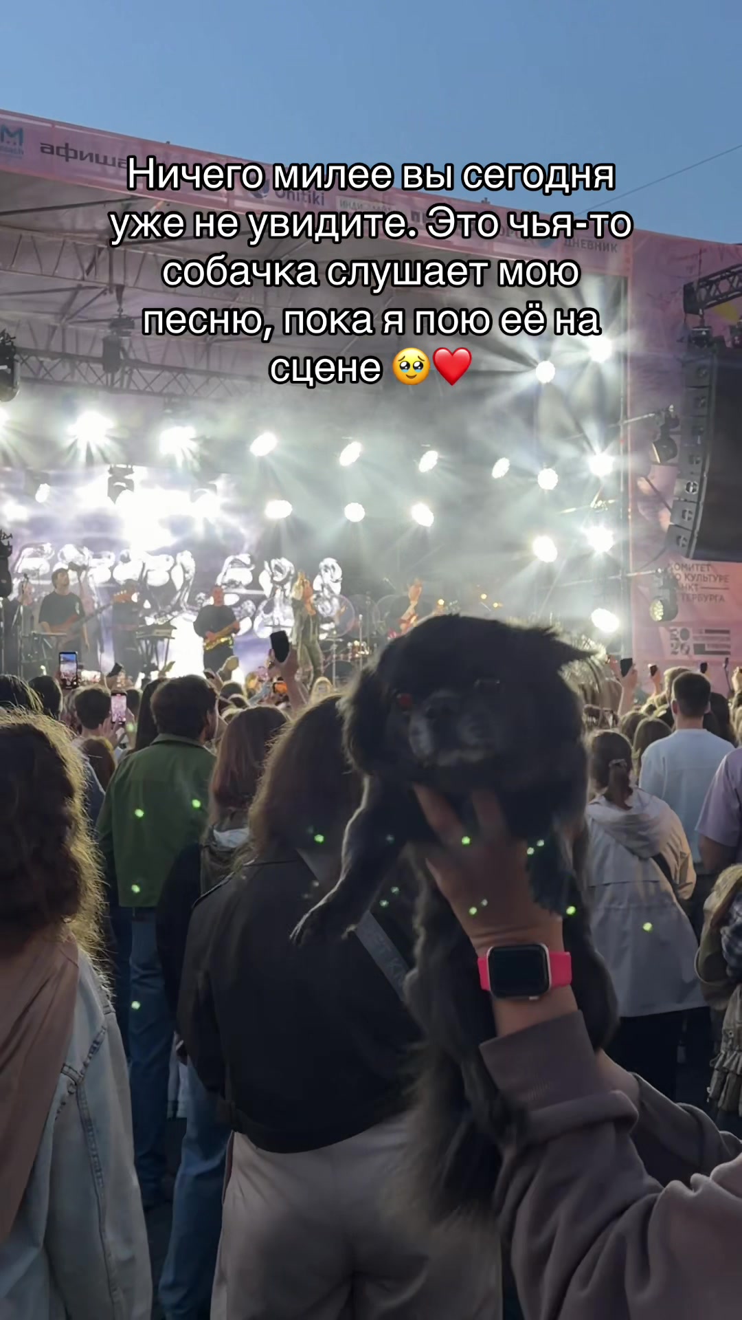 @тг:yanasqu