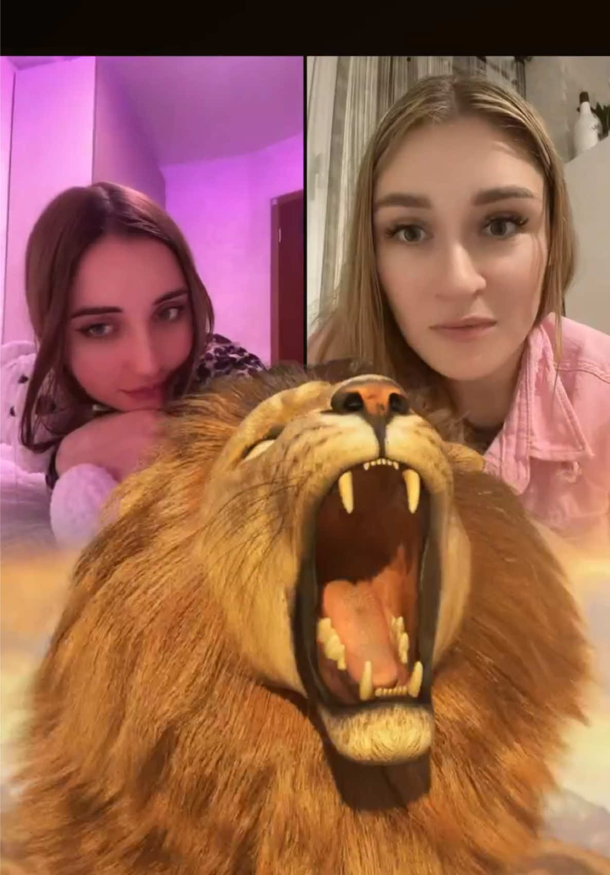@alina
